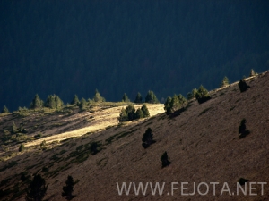 Nombre del archivo=101106_124.jpg
Tamaño del archivo=146Kb
Dimensiones=500x375
Fecha añadida=15 de Noviembre de 11 101106_124.jpg