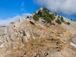 Nombre del archivo=101106_130.jpg
Tamaño del archivo=179Kb
Dimensiones=500x375
Fecha añadida=15 de Noviembre de 11 101106_130.jpg