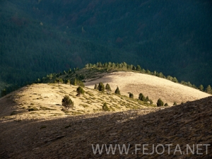 Nombre del archivo=101106_150.jpg
Tamaño del archivo=178Kb
Dimensiones=500x375
Fecha añadida=15 de Noviembre de 11 101106_150.jpg