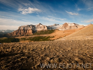 Nombre del archivo=101106_153.jpg
Tamaño del archivo=185Kb
Dimensiones=500x375
Fecha añadida=15 de Noviembre de 11 101106_153.jpg