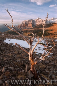 Nombre del archivo=101106_161.jpg
Tamaño del archivo=153Kb
Dimensiones=332x500
Fecha añadida=15 de Noviembre de 11 101106_161.jpg