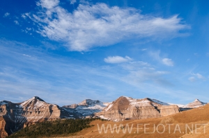 Nombre del archivo=101106_164.jpg
Tamaño del archivo=147Kb
Dimensiones=500x332
Fecha añadida=15 de Noviembre de 11 101106_164.jpg