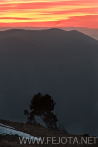 Nombre del archivo=101106_201.jpg
Tamaño del archivo=110Kb
Dimensiones=332x500
Fecha añadida=15 de Noviembre de 11 101106_201.jpg