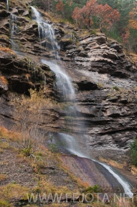 Nombre del archivo=101107_003.jpg
Tamaño del archivo=158Kb
Dimensiones=332x500
Fecha añadida=16 de Noviembre de 11 101107_003.jpg