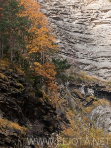 Nombre del archivo=101107_010.jpg
Tamaño del archivo=151Kb
Dimensiones=375x500
Fecha añadida=16 de Noviembre de 11 101107_010.jpg