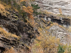 Nombre del archivo=101107_011.jpg
Tamaño del archivo=185Kb
Dimensiones=500x375
Fecha añadida=16 de Noviembre de 11 101107_011.jpg