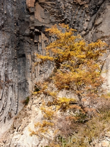 Nombre del archivo=101107_016.jpg
Tamaño del archivo=201Kb
Dimensiones=375x500
Fecha añadida=16 de Noviembre de 11 101107_016.jpg