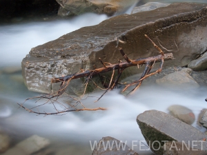 Nombre del archivo=101107_026.jpg
Tamaño del archivo=158Kb
Dimensiones=500x375
Fecha añadida=16 de Noviembre de 11 101107_026.jpg