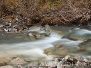 Nombre del archivo=101107_030.jpg
Tamaño del archivo=130Kb
Dimensiones=500x375
Fecha añadida=16 de Noviembre de 11 101107_030.jpg