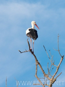 Nombre del archivo=101121_041.jpg
Tamaño del archivo=177Kb
Dimensiones=375x500
Fecha añadida=16 de Noviembre de 11 101121_041.jpg