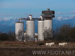 Nombre del archivo=101121_052.jpg
Tamaño del archivo=141Kb
Dimensiones=500x375
Fecha añadida=16 de Noviembre de 11 101121_052.jpg