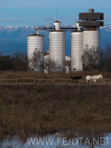 Nombre del archivo=101121_053.jpg
Tamaño del archivo=149Kb
Dimensiones=375x500
Fecha añadida=16 de Noviembre de 11 101121_053.jpg