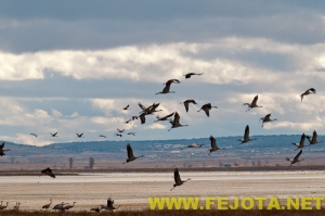 Nombre del archivo=101201_019.jpg
Tamaño del archivo=95Kb
Dimensiones=500x332
Fecha añadida=03 de Febrero de 12 101201_019.jpg