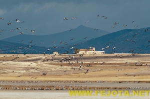 Nombre del archivo=101201_124.jpg
Tamaño del archivo=105Kb
Dimensiones=500x333
Fecha añadida=03 de Febrero de 12 101201_124.jpg