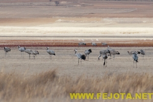 Nombre del archivo=101201_167.jpg
Tamaño del archivo=96Kb
Dimensiones=500x333
Fecha añadida=03 de Febrero de 12 101201_167.jpg