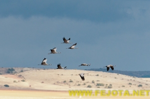 Nombre del archivo=101201_174.jpg
Tamaño del archivo=66Kb
Dimensiones=500x333
Fecha añadida=03 de Febrero de 12 101201_174.jpg