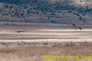 Nombre del archivo=101201_180.jpg
Tamaño del archivo=126Kb
Dimensiones=500x333
Fecha añadida=03 de Febrero de 12 101201_180.jpg