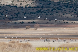 Nombre del archivo=101201_193.jpg
Tamaño del archivo=122Kb
Dimensiones=500x333
Fecha añadida=03 de Febrero de 12 101201_193.jpg