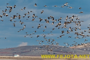 Nombre del archivo=101201_201.jpg
Tamaño del archivo=125Kb
Dimensiones=500x332
Fecha añadida=03 de Febrero de 12 101201_201.jpg