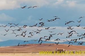 Nombre del archivo=101201_208.jpg
Tamaño del archivo=100Kb
Dimensiones=500x333
Fecha añadida=03 de Febrero de 12 101201_208.jpg