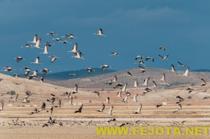 Nombre del archivo=101201_217.jpg
Tamaño del archivo=109Kb
Dimensiones=500x333
Fecha añadida=03 de Febrero de 12 101201_217.jpg