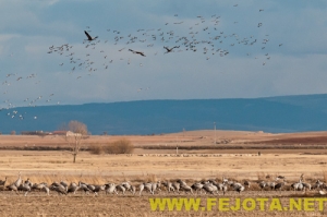 Nombre del archivo=101201_222.jpg
Tamaño del archivo=99Kb
Dimensiones=500x333
Fecha añadida=03 de Febrero de 12 101201_222.jpg