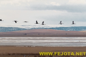 Nombre del archivo=101202_045.jpg
Tamaño del archivo=80Kb
Dimensiones=500x333
Fecha añadida=03 de Febrero de 12 101202_045.jpg