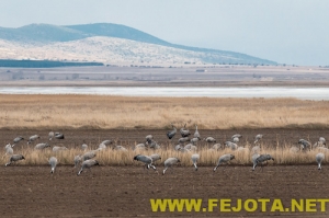 Nombre del archivo=101202_108.jpg
Tamaño del archivo=105Kb
Dimensiones=500x333
Fecha añadida=03 de Febrero de 12 101202_108.jpg