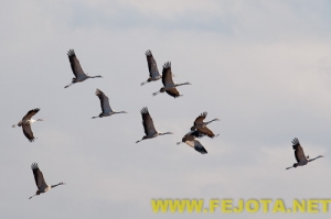 Nombre del archivo=101202_133.jpg
Tamaño del archivo=50Kb
Dimensiones=500x333
Fecha añadida=03 de Febrero de 12 101202_133.jpg