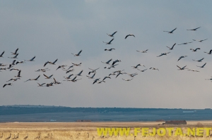 Nombre del archivo=101202_145.jpg
Tamaño del archivo=77Kb
Dimensiones=500x332
Fecha añadida=03 de Febrero de 12 101202_145.jpg