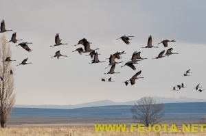 Nombre del archivo=101202_149.jpg
Tamaño del archivo=75Kb
Dimensiones=500x333
Fecha añadida=03 de Febrero de 12 101202_149.jpg