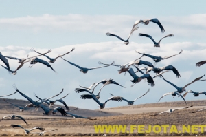 Nombre del archivo=101202_158.jpg
Tamaño del archivo=107Kb
Dimensiones=500x333
Fecha añadida=03 de Febrero de 12 101202_158.jpg