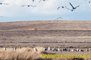 Nombre del archivo=101202_160.jpg
Tamaño del archivo=115Kb
Dimensiones=500x333
Fecha añadida=03 de Febrero de 12 101202_160.jpg