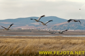 Nombre del archivo=101202_187.jpg
Tamaño del archivo=98Kb
Dimensiones=500x332
Fecha añadida=03 de Febrero de 12 101202_187.jpg