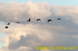 Nombre del archivo=101202_194.jpg
Tamaño del archivo=57Kb
Dimensiones=500x332
Fecha añadida=03 de Febrero de 12 101202_194.jpg