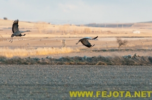 Nombre del archivo=101202_216.jpg
Tamaño del archivo=110Kb
Dimensiones=500x333
Fecha añadida=03 de Febrero de 12 101202_216.jpg