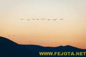 Nombre del archivo=101216_015.jpg
Tamaño del archivo=50Kb
Dimensiones=500x333
Fecha añadida=03 de Febrero de 12 101216_015.jpg