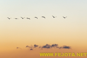 Nombre del archivo=101216_016.jpg
Tamaño del archivo=47Kb
Dimensiones=500x333
Fecha añadida=03 de Febrero de 12 101216_016.jpg