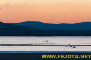 Nombre del archivo=101216_017.jpg
Tamaño del archivo=74Kb
Dimensiones=500x333
Fecha añadida=03 de Febrero de 12 101216_017.jpg