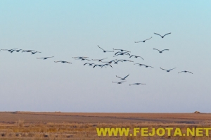 Nombre del archivo=101216_043.jpg
Tamaño del archivo=64Kb
Dimensiones=500x333
Fecha añadida=03 de Febrero de 12 101216_043.jpg