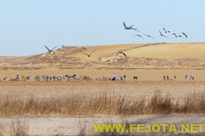 Nombre del archivo=101216_060.jpg
Tamaño del archivo=96Kb
Dimensiones=500x333
Fecha añadida=03 de Febrero de 12 101216_060.jpg