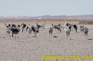 Nombre del archivo=101216_097.jpg
Tamaño del archivo=100Kb
Dimensiones=500x333
Fecha añadida=03 de Febrero de 12 101216_097.jpg