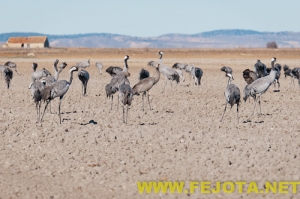 Nombre del archivo=101216_100.jpg
Tamaño del archivo=116Kb
Dimensiones=500x333
Fecha añadida=03 de Febrero de 12 101216_100.jpg
