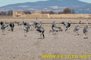 Nombre del archivo=101216_104.jpg
Tamaño del archivo=116Kb
Dimensiones=500x333
Fecha añadida=03 de Febrero de 12 101216_104.jpg