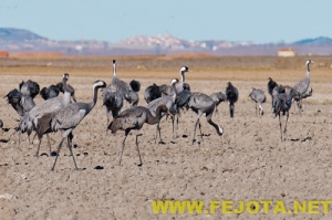 Nombre del archivo=101216_114.jpg
Tamaño del archivo=122Kb
Dimensiones=500x333
Fecha añadida=03 de Febrero de 12 101216_114.jpg