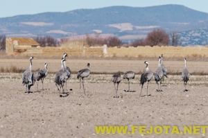Nombre del archivo=101216_128.jpg
Tamaño del archivo=110Kb
Dimensiones=500x333
Fecha añadida=03 de Febrero de 12 101216_128.jpg