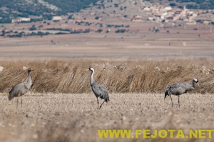 Nombre del archivo=101216_162.jpg
Tamaño del archivo=120Kb
Dimensiones=500x333
Fecha añadida=03 de Febrero de 12 101216_162.jpg