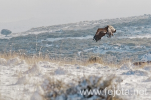 Nombre del archivo=101224_027.jpg
Tamaño del archivo=96Kb
Dimensiones=500x333
Fecha añadida=07 de Enero de 13 101224_027.jpg