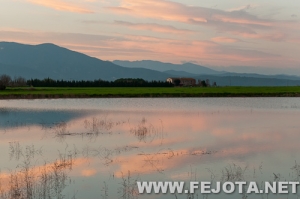 Nombre del archivo=110317_041.jpg
Tamaño del archivo=120Kb
Dimensiones=500x332
Fecha añadida=22 de Marzo de 12 110317_041.jpg