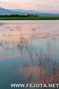 Nombre del archivo=110317_045.jpg
Tamaño del archivo=145Kb
Dimensiones=332x500
Fecha añadida=22 de Marzo de 12 110317_045.jpg